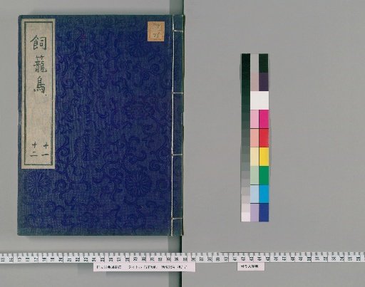 Shirotori, Volumes 11-12