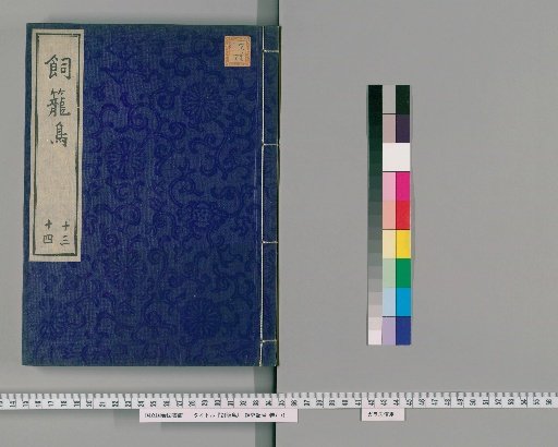 Shirotori, Volumes 13-14