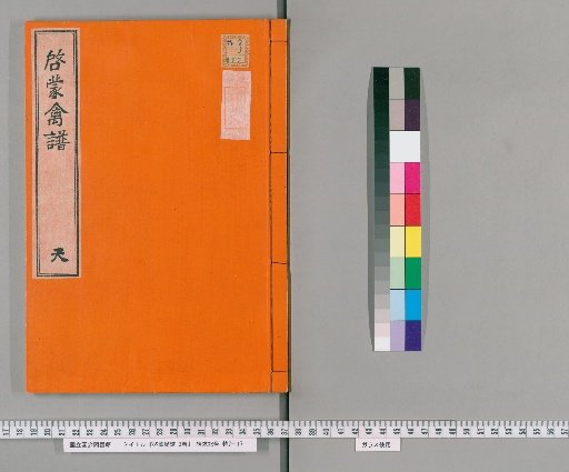 Enlightened Bird Catalogue, 3 volumes [1]