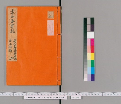 Essential Illustrated Compendium of Ancient and Modern Times: Plants, Section on Tangerines 2