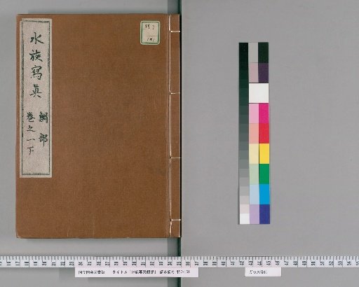 "Suioku Shashin": Section on Sea Bream [2]