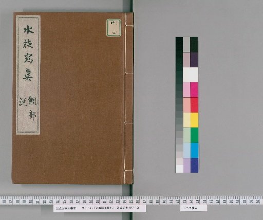 Suioku Shashin: Tai Section [3]