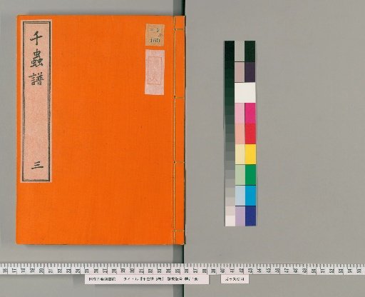 Catalogue of a Thousand Insects, 5 volumes [3]