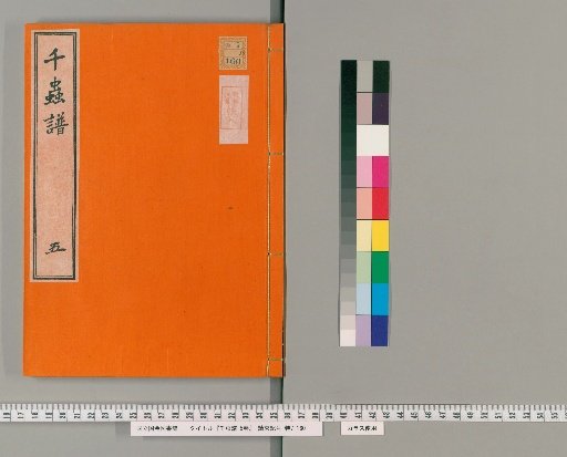 Catalogue of a Thousand Insects, 5 volumes [5]