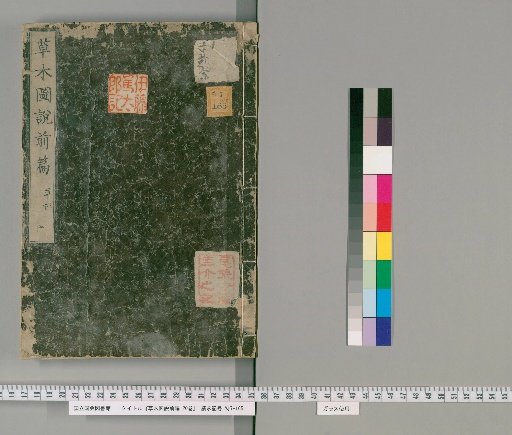Illustrated Treatise on Plants and Trees: First Part, 20 volumes [3]