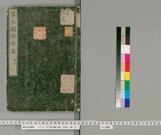 Illustrated Treatise on Plants and Trees: First Part, 20 volumes [4]