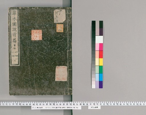 Illustrated Treatise on Plants and Grasses, Part 1, 20 Volumes [7]