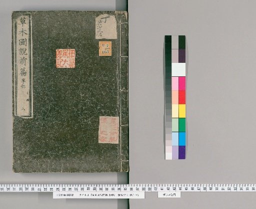 Illustrated Treatise on Plants and Grasses, Part 1, 20 Volumes [8]