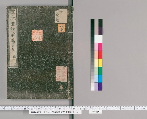 Illustrated Treatise on Plants and Grasses, Part 1, 20 Volumes [9]