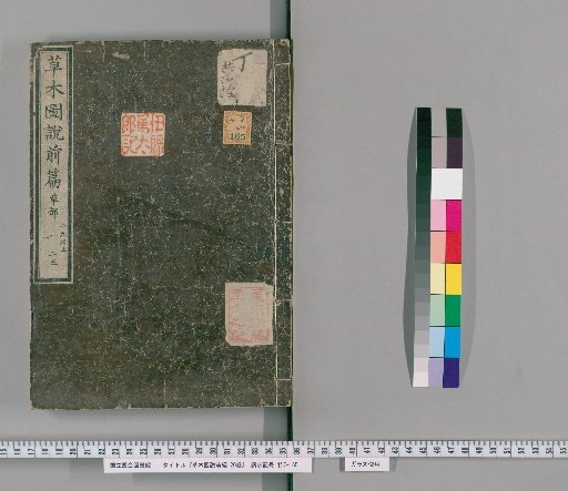 Illustrated Treatise on Plants and Grasses, Part 1, 20 Volumes [15]