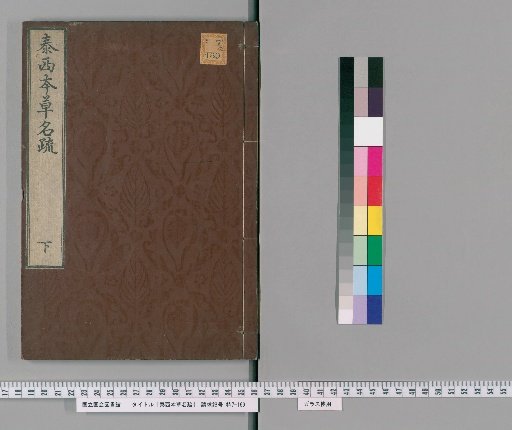 Western Herbal Nomenclature, Lower Volume