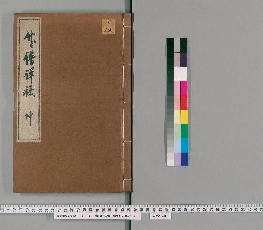 Detailed Record of Bamboo, 2 volumes [2]