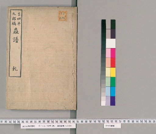 Record of Insects, 2 Volumes [1]