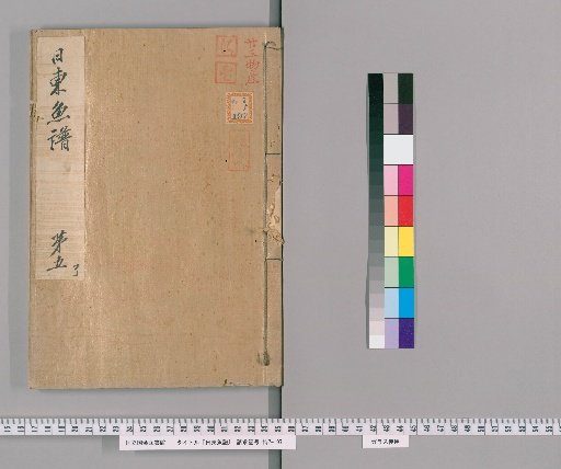 Record of Fish of the Eastern Seas, Volume 5