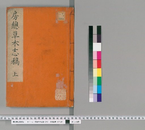 Draft Record of Plants and Grasses of the Boso Peninsula, 2 Volumes [1]