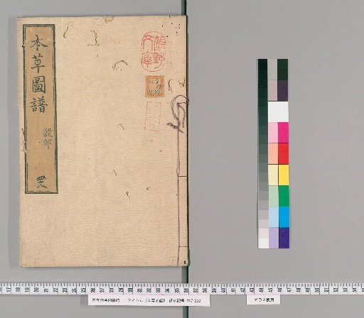 Compendium of Materia Medica Illustrations, Volume 42