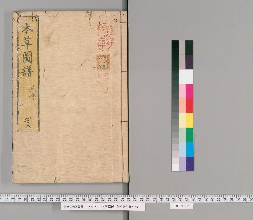 Herbal Illustrations, Volume 46