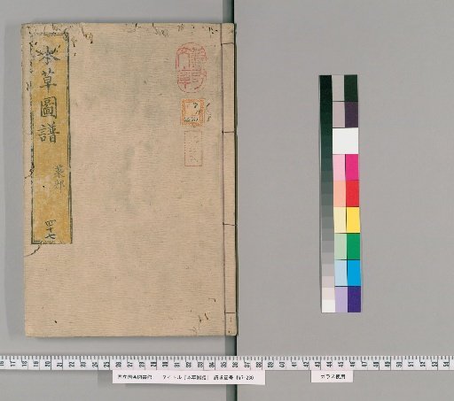 Herbal Illustrations, Volume 47