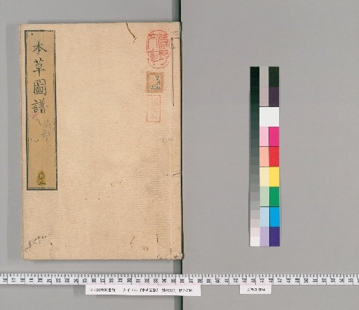 Illustrated Materia Medica, Volume 62
