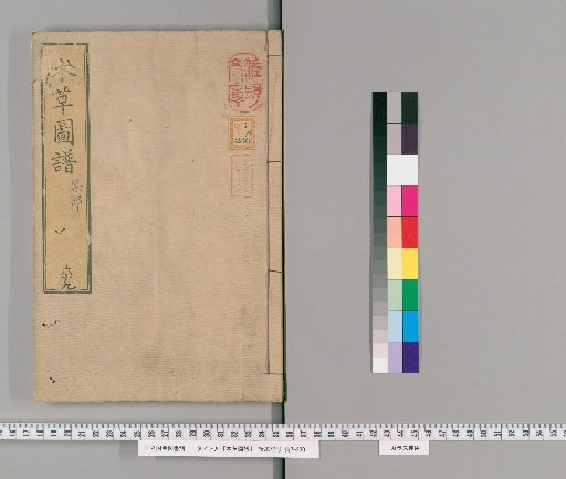 Herbal Illustrations, Volume 69