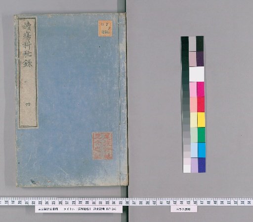 Secret Records of Surgery, Continuation Volume 4