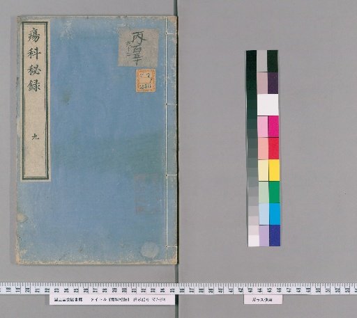 Secret Records of Surgery, Volume 9