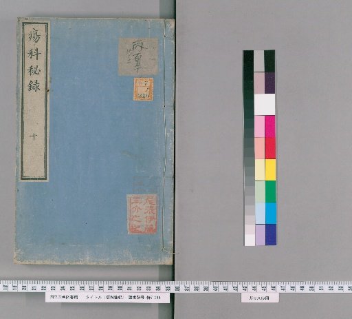 Secret Records of Surgery, Volume 10