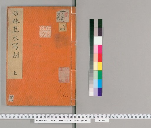 Sketches of Ryukyu Plants and Trees, 2 volumes [1]