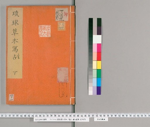 Sketches of Ryukyu Plants and Trees, 2 volumes [2]