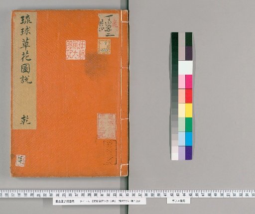 Illustrated Explanations of Ryukyu Grasses and Flowers, 2 volumes [1]
