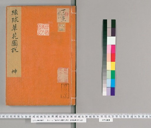 Illustrated Explanations of Ryukyu Grasses and Flowers, 2 volumes [2]
