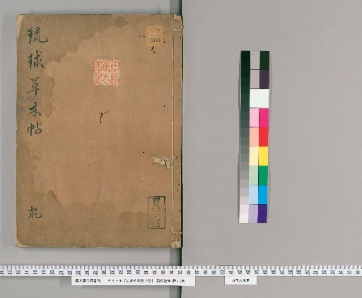 Album of Ryukyu Plants and Trees, 2 volumes [1]