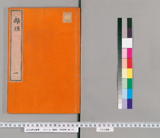 Treatise on Geese [1]