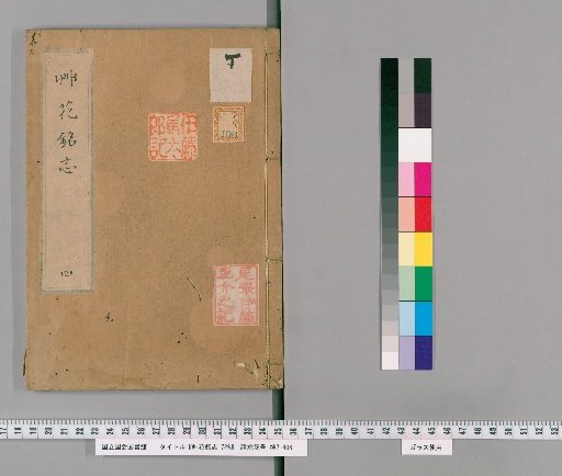 Records of Names and Inscriptions of Grasses and Flowers, 7 vols. [4]