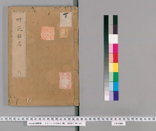 Record of Grasses and Flowers: A Collection of Inscriptions, 7 vols. [6]