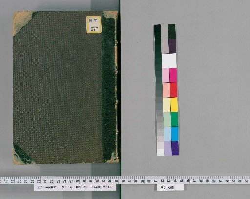 Record of Birds, 2 vols. [2]