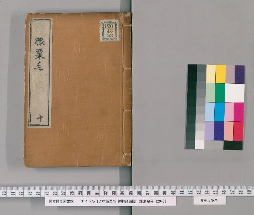 Tokaido Hizakurige, Part 8, Continuation, Part 12 [10]