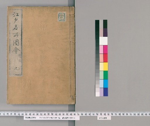 Edo Meisho Zue, 7 Volumes, No. 9, Volumes 7-10: Volume 3