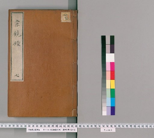 Mirror of the Patriarchal Mind, 100 Volumes