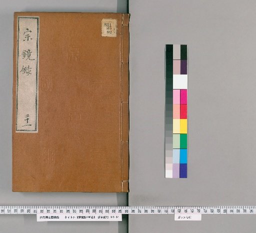 Mirror of the Patriarchal Mind, 100 Volumes [21]