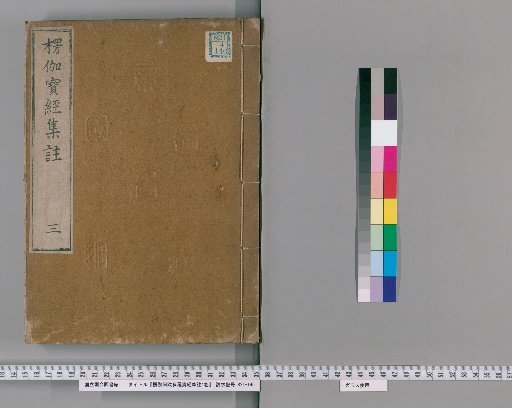 Collected Commentaries on the Lankāvatāra Sūtra, 4 Volumes [3]