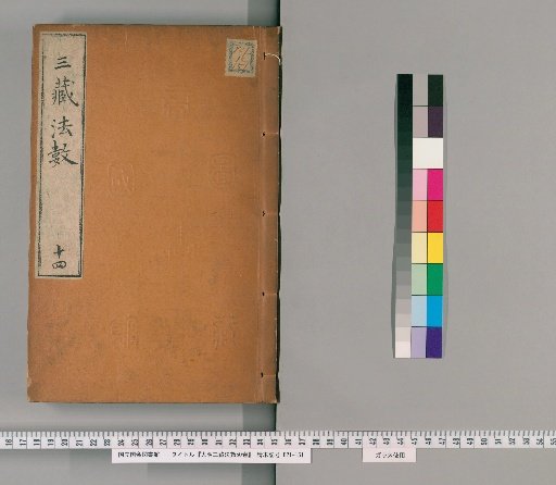 Daming Sanzang Fashu, 50 Volumes [14]