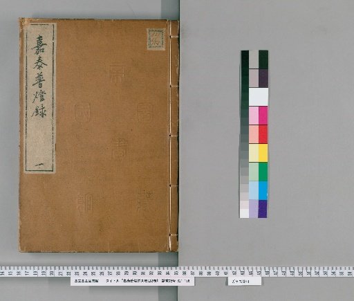Jia Tai Puheng Record, 30 volumes, with Catalog 2 volumes [1]