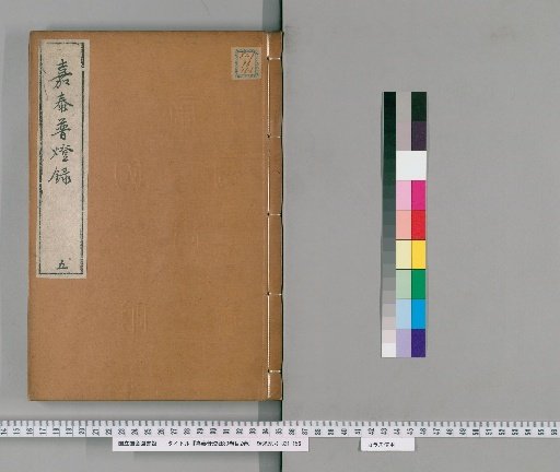 Jatai Puheng Lu, 30 Volumes, Index 2 Volumes [5]
