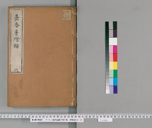 Jia Tai Pu Deng Lu, 30 volumes, 2 volumes of contents [6]