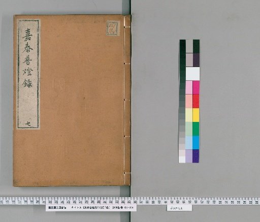 Jia Tai General Lamp Record, 30 volumes; Catalogue, 2 volumes [7]