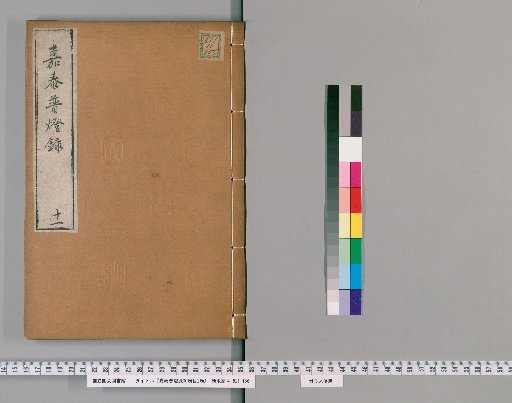 Jia Tai Universal Lamp Record, 30 Vols., Catalogue 2 Vols. [11]