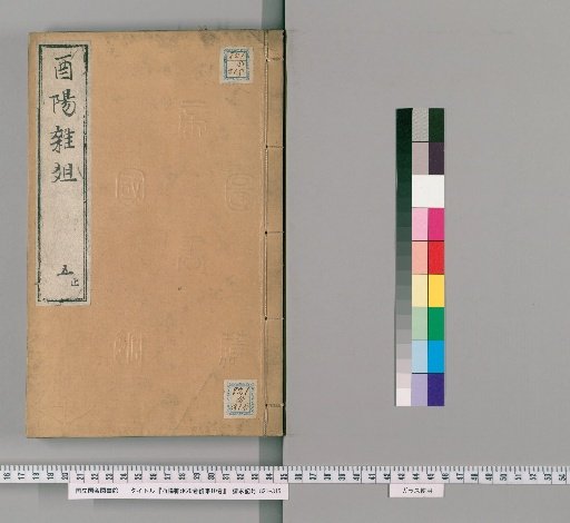 Miscellaneous Notes from Youyang, 20 Volumes; Continuation, 10 Volumes [5]