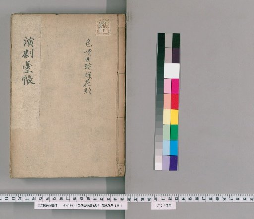 Shokujoku Kuruma Chō Kigata [4]