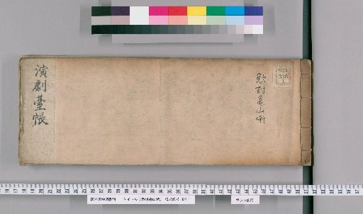 Revenge at Kameyama: A Tale [4]